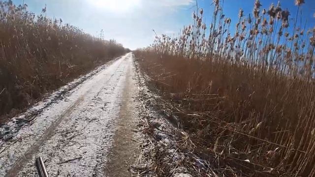 Сходили на охоту добыли шакала
