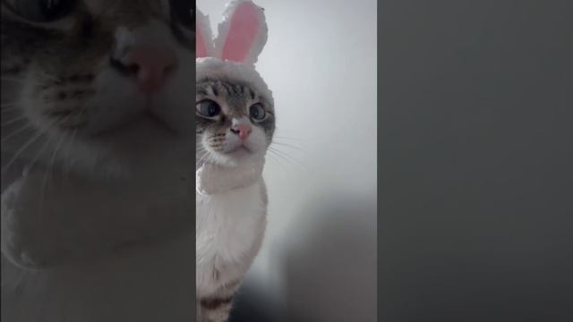 Федя, это ты или не ты?