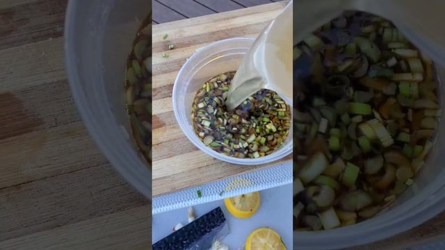 Oysters with spicy ponzu 🥵 #shorts #oysters #ponzu