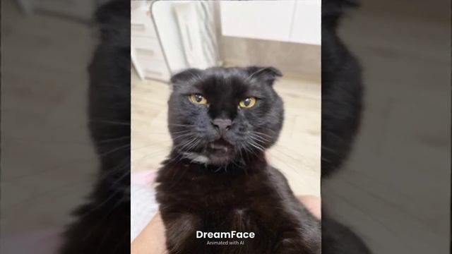 Сигма сигма бой сигма бой и чернышь🤪