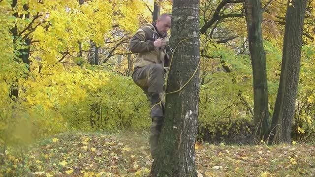 КАК ЗАЛЕЗТЬ НА ДЕРЕВО без веток