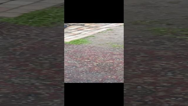 бывает и такое