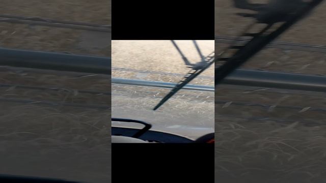уборка .mp4