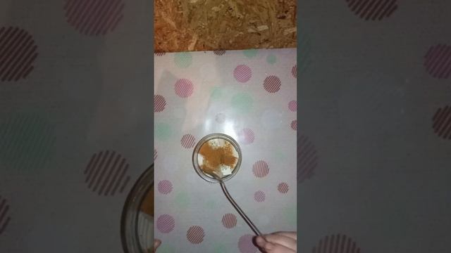 ЖАЛЬ ЧТО Я НЕ ЗНАЛА ЭТОТ РЕЦЕПТ РАНЬШЕ// МАРИНУЕМ СЫР