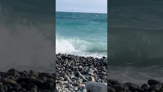 Видео все в одном