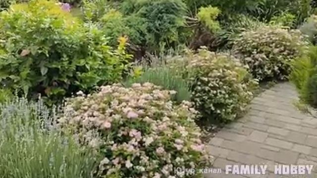 Прогулка_По_ПРЕКРАСНОМУ_САДУ_С62.mp4