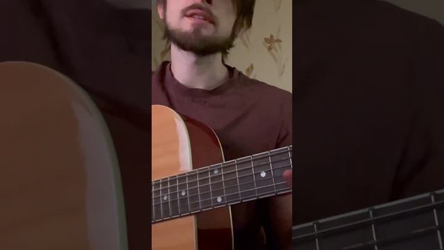 Сплин - Мое сердце #кавер #русскийрок #подгитару #music #cover #acousticcover #рок #rock #сплин