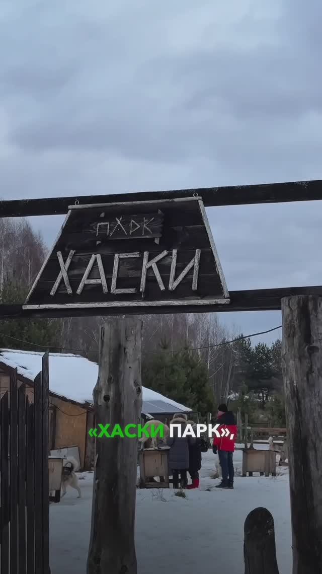 «ХАСКИ ПАРК» в раменском районе. Кто был? Делитесь впечатлениями👉🏻