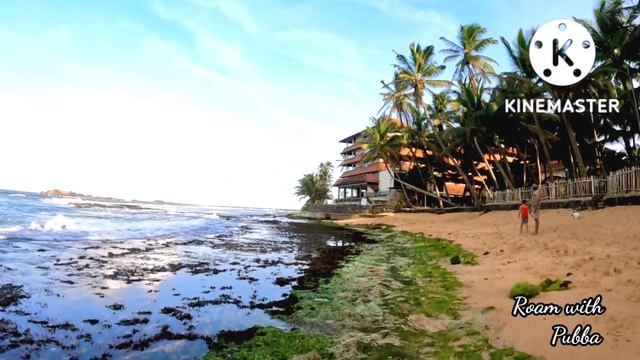 Hikka tranz by Cinnamon|Anniversary එක දවසේ යකා නටපු හැටි|Roam with Pubba|travel around sri lanka