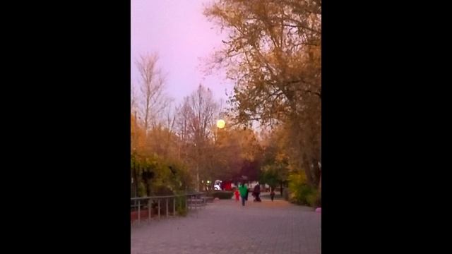 "Осень"