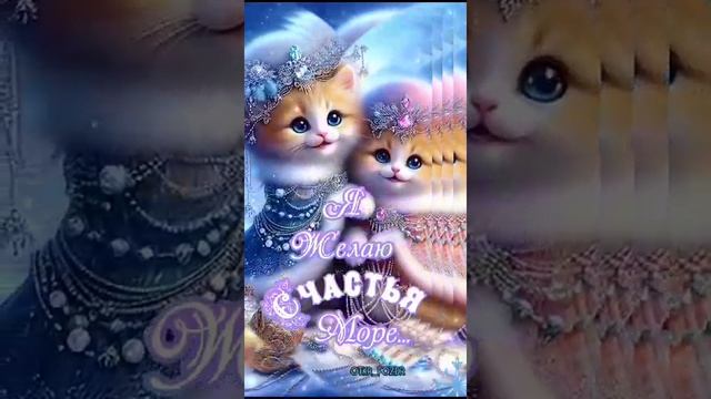 VID-20250108-WA0019
