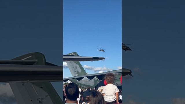 Посмеемся (39)