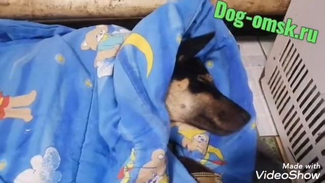 Новости про ЗАЙЧИКА