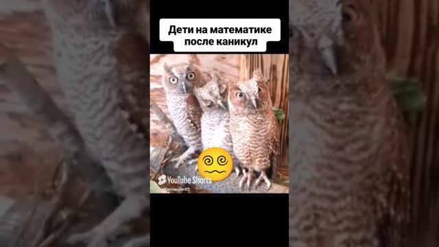 начало учебного года