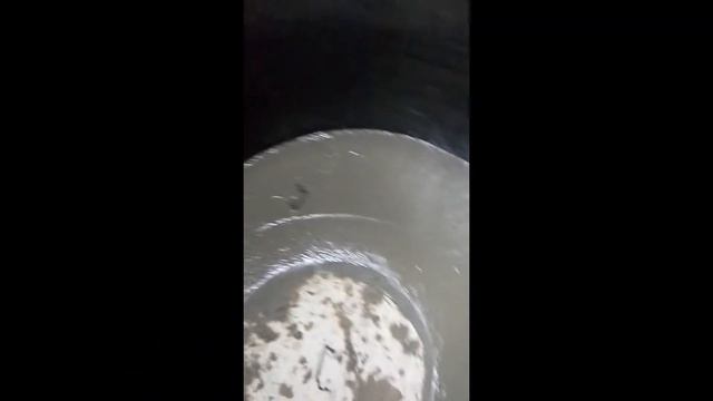 кольца жби