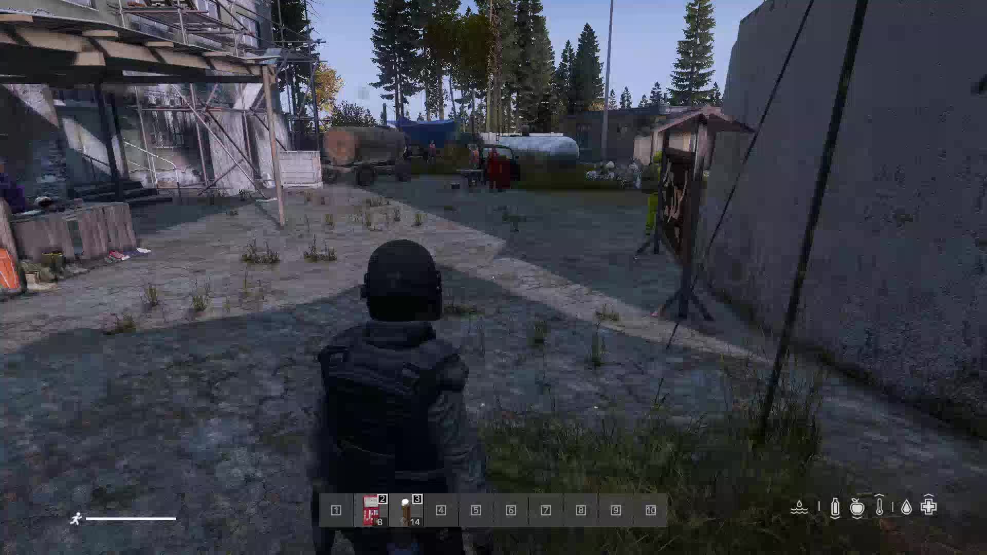 DAYZ