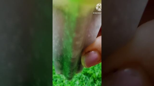 Candy popsicle 🍭#icecream #funnyvideo #ytshorts #minivideo #viral