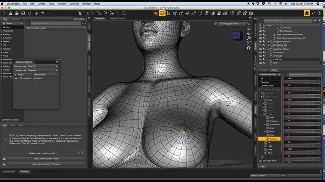 Daz 3D: Measurement Metric Tool Tutorial For 3d Fit Modeling