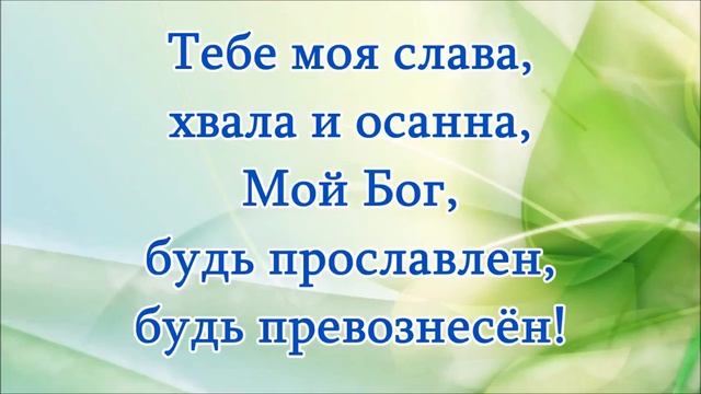 Тебе моя слава