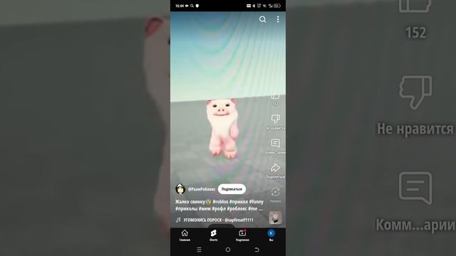1000005862.mp4