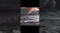 Доставка топлива ,лес вездеход,грязь!!!