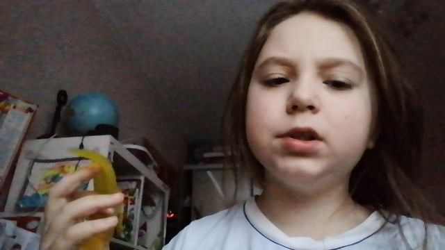 VID_20250108_104342.mp4