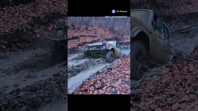 Нива может)) off-road