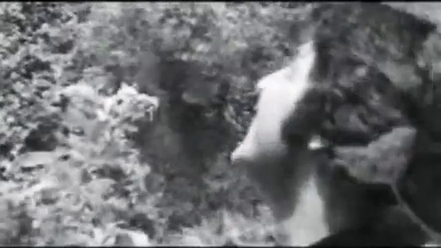 АХМАД ЗОХИР! New videos song!