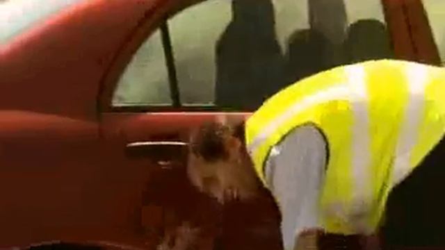 прикол  тупие американци