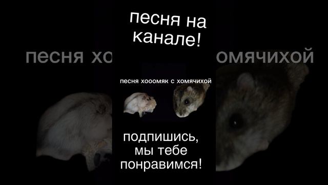 песня на канале!