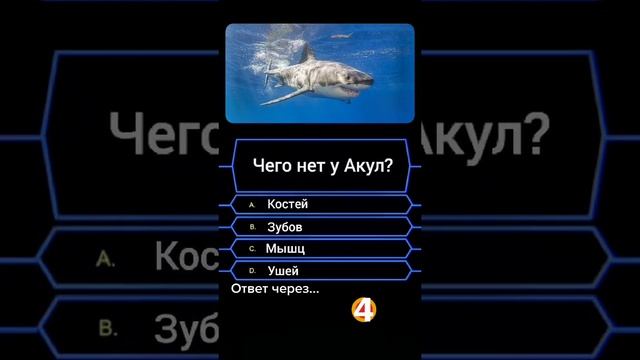 Вопрос на миллион 3.