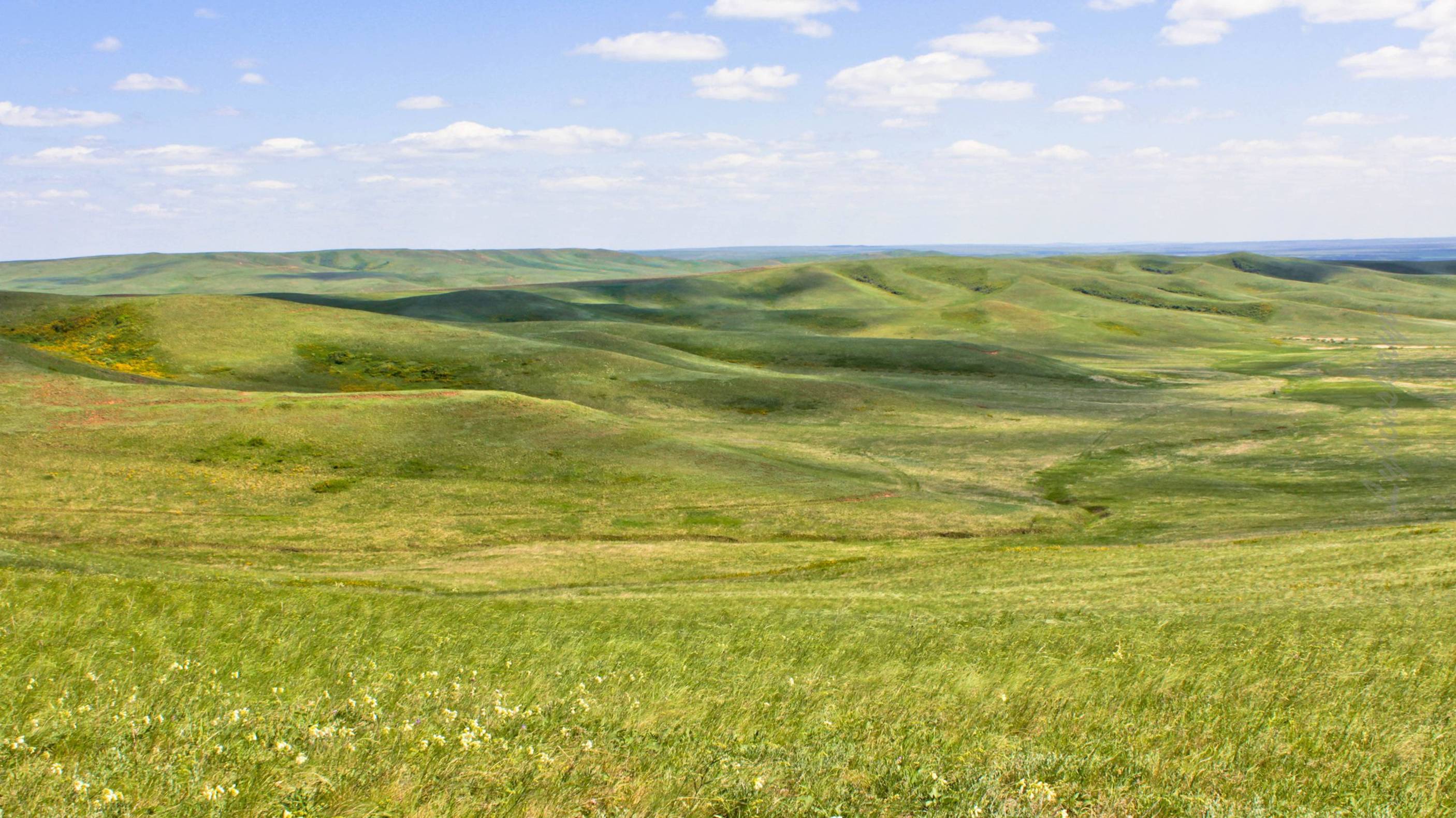 Караоке. "Кукушка" Виктор Цой.