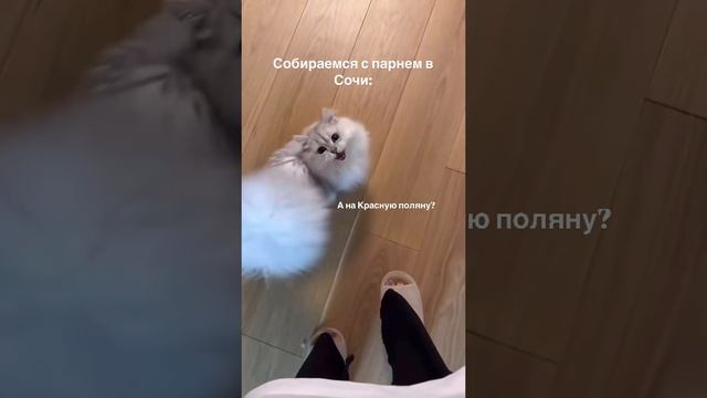 Что ещё нужно спросить, девочки?😁✨
