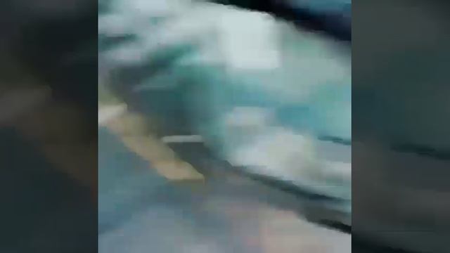 Катя Адушкина TODES