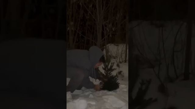 Дима  Смешной видео