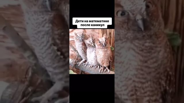 1000002498.mp4