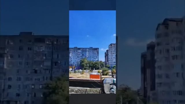 Лаки смотрит в окошко 🌞