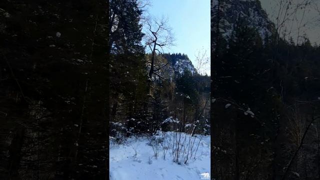 Домой