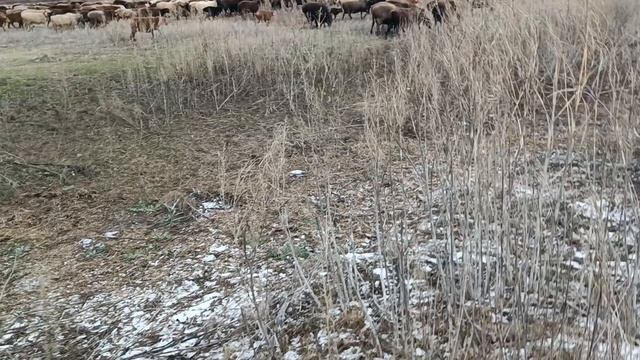 Круглые кормушки. Итог