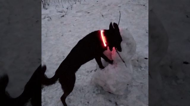 Копай. Снеговик 08.01.2025