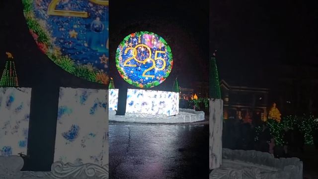 lv_0_20250108101545.mp4