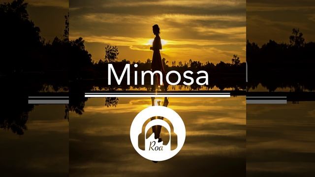 Mimosa