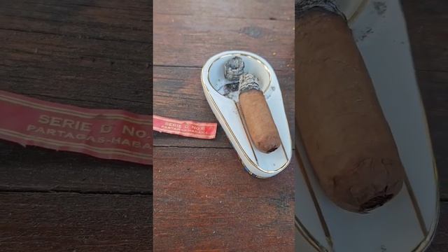 A very tasty cigar - Partagas Series D №6