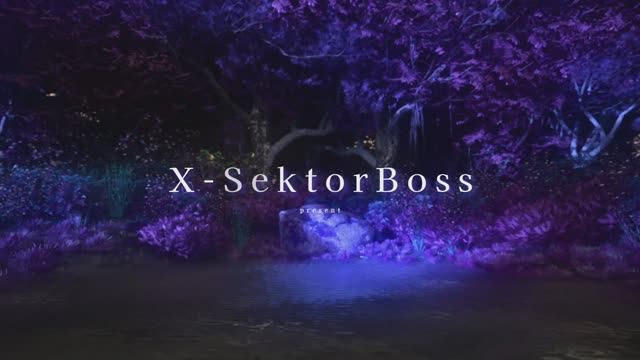X-SektorBoss 200 - человекаВорот