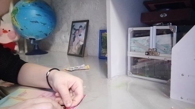 VID_20250108_182640.mp4
