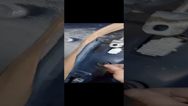 1000004964.mp4