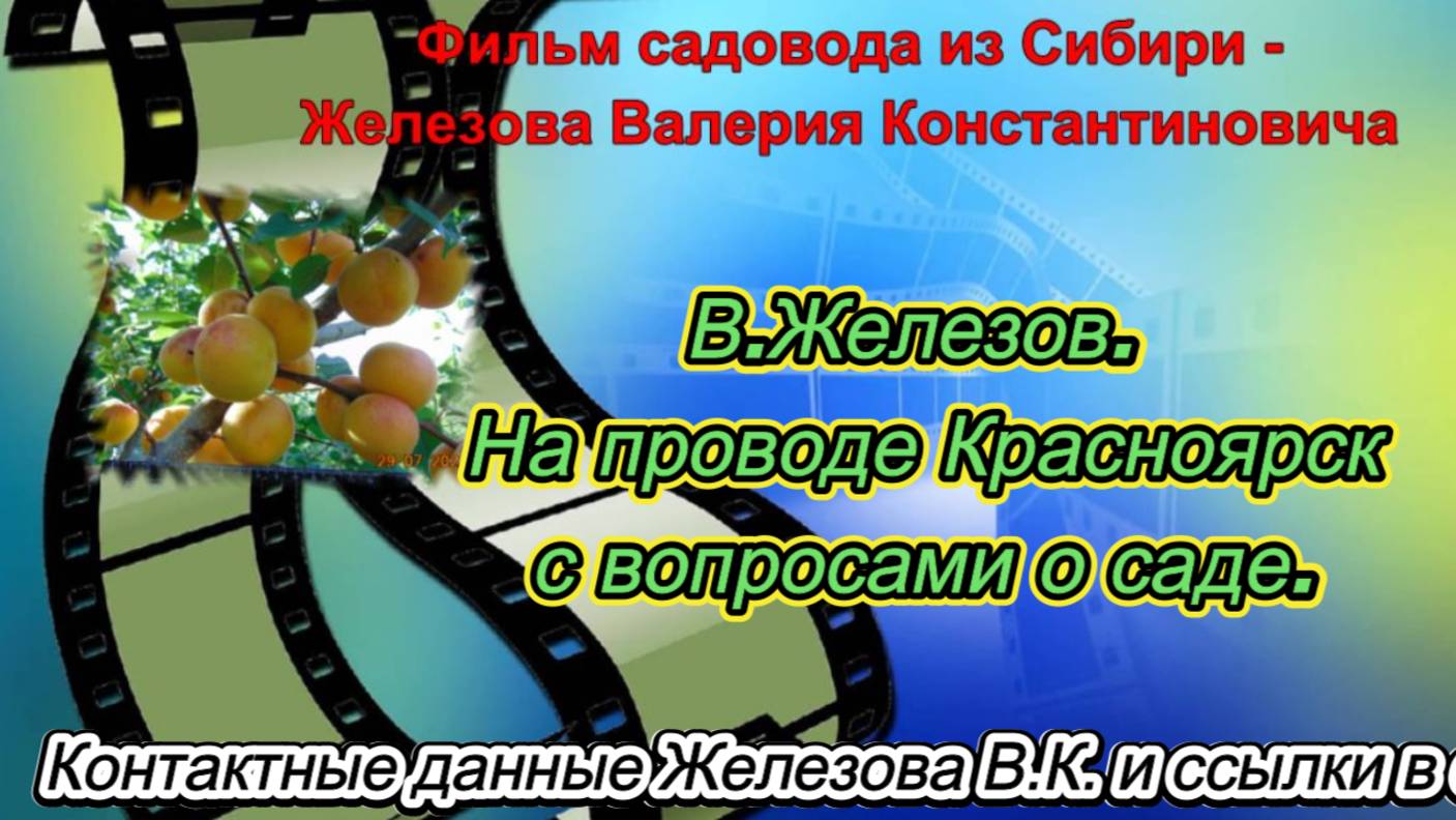 В.Железов. На проводе Красноярск с вопросами о саде.