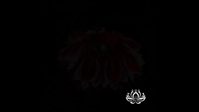 LLL-LenaLentaLepestok. Канзаши на волосы Ваши. Заколка для волос "Петуния" красно-белый