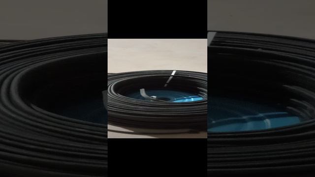 1000017530.mp4