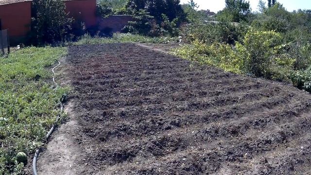 3 ПРИЧИНЫ ИЗБАВИТЬСЯ ОТ ТРАВЫ В ОГОРОДЕ ТАКИМ СПОСОБОМ!!!Деревенский влог